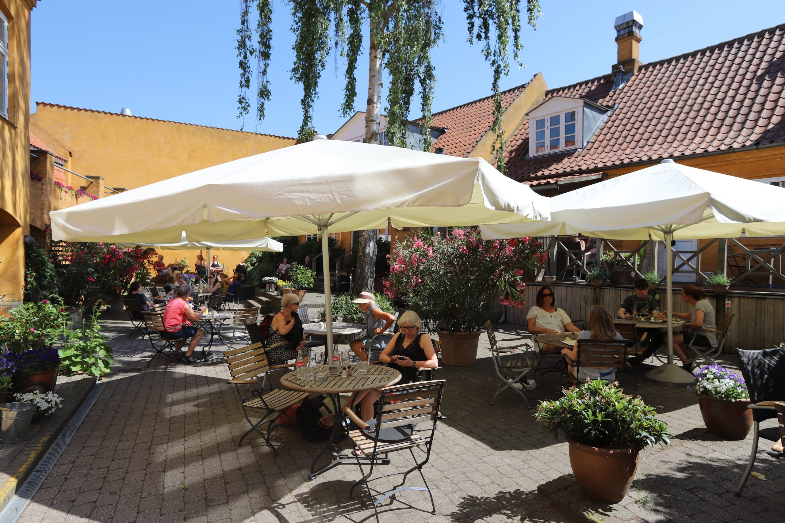 Parasoller og gæster i Café Astas gårdhave i solskin